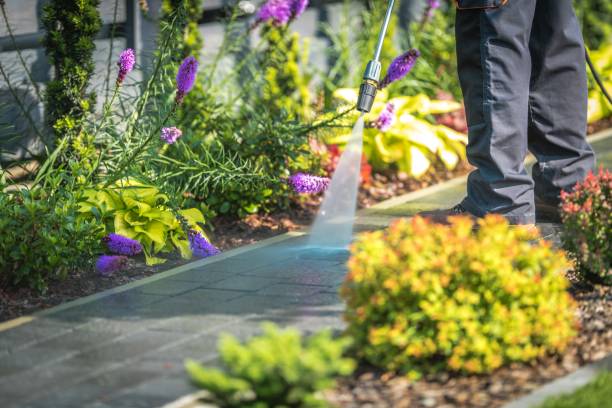 Best Patio and Deck Pressure Washing  in Venersborg, WA